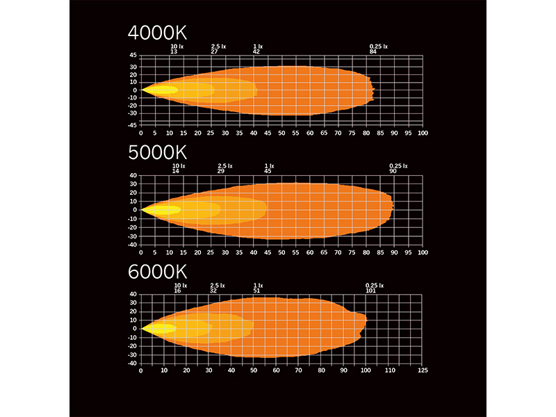 DARK KNIGHT FORTEX WORK
