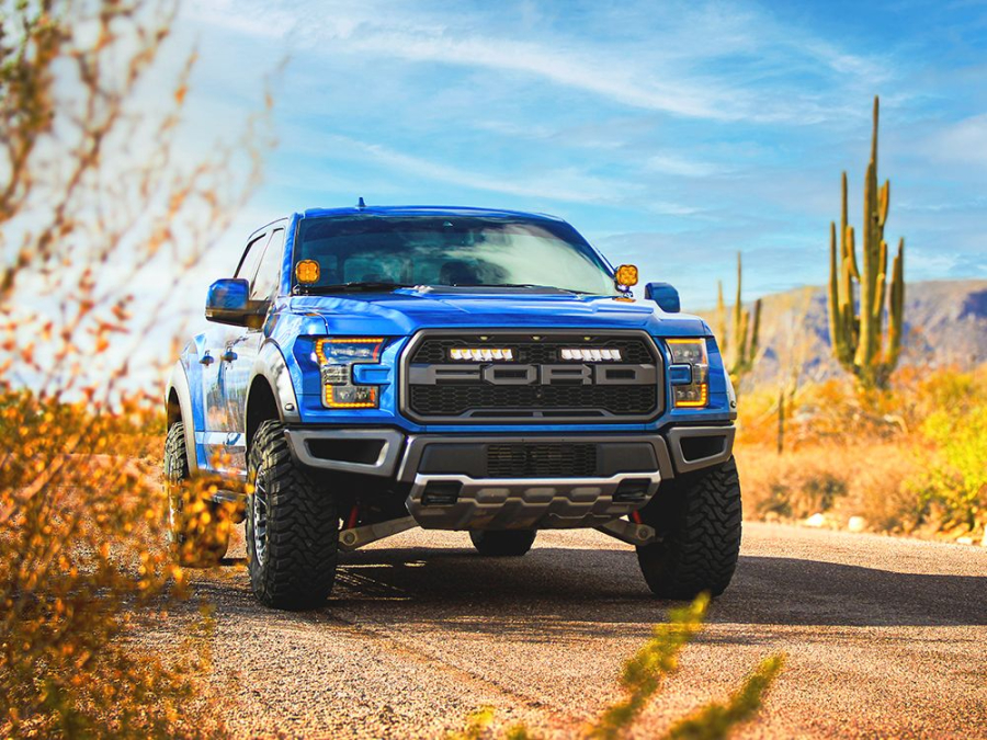 Ford F-150 Raptor (2017-2020) Grille Kit