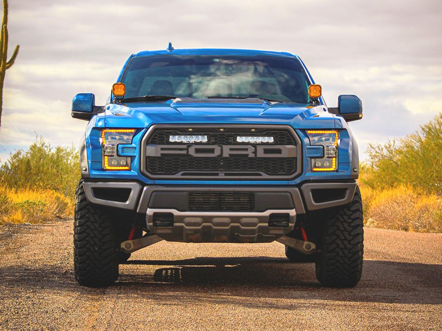 Ford F-150 Raptor (2017-2020) Grille Kit