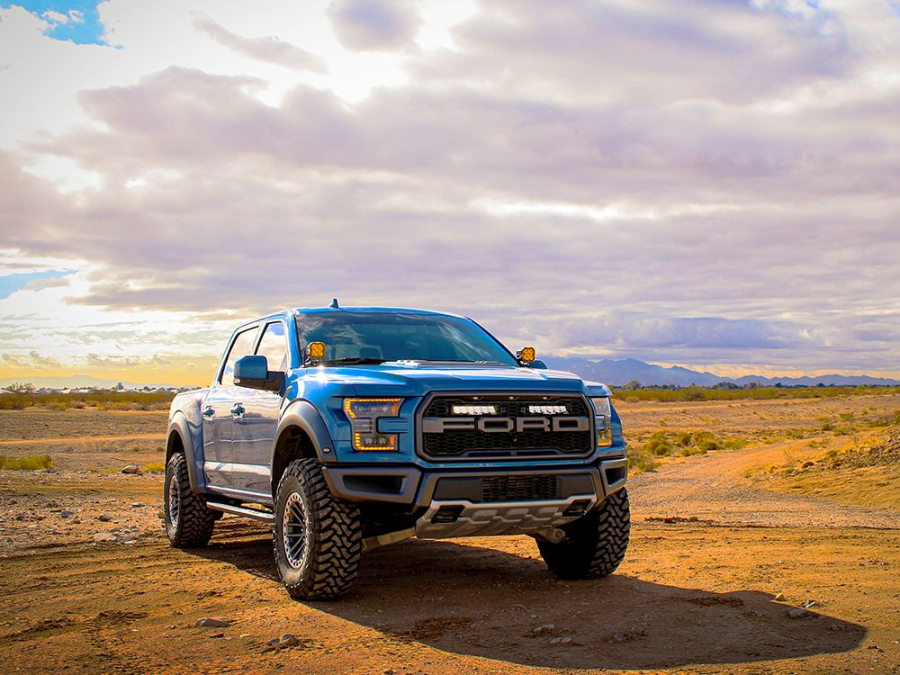 Ford F-150 Raptor (2017-2020) Grille Kit