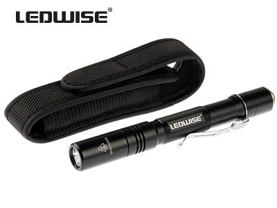 LEDWISE L’ONE