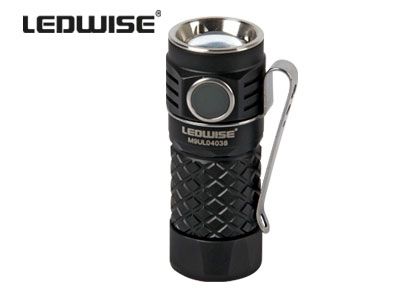 LEDWISE ROGUE