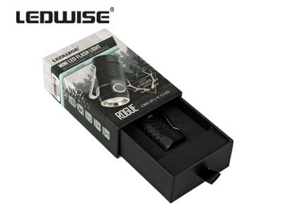 LEDWISE ROGUE