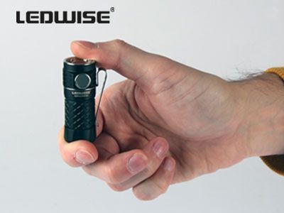 LEDWISE ROGUE