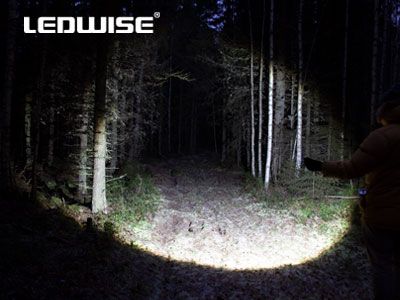 LEDWISE ROGUE