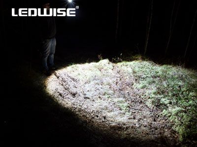 LEDWISE ROGUE