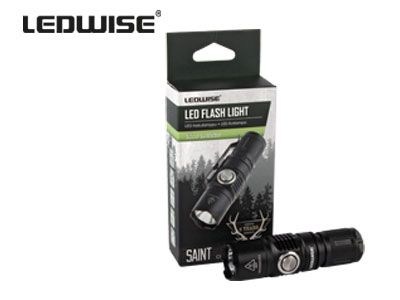LEDWISE SAINT