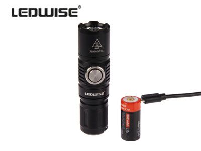 LEDWISE SAINT