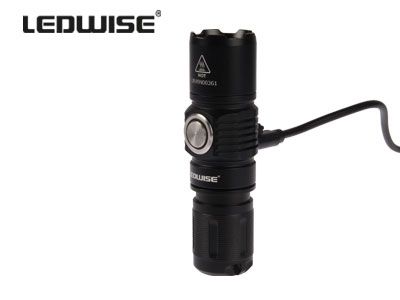 LEDWISE SAINT