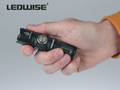 LEDWISE SAINT