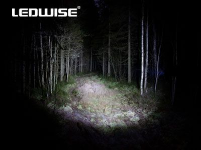 LEDWISE SAINT